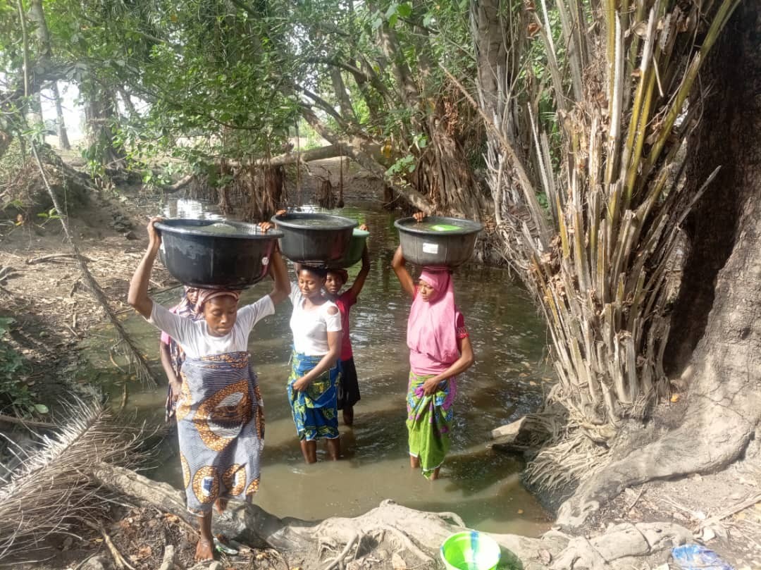 Death in every drop: How contaminated water is killing pregnant women, unborn babies in Abuja’s forgotten communities
