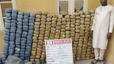 Man in light traditional clothing stands beside a large wall of stacked blue and tan bags outside a yellow building, with an inspection board in front labeled INDLEA Ogun State Command.