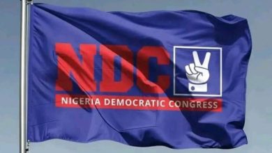 Blue flag featuring the Nigeria Democratic Congress (NDC) logo in red and a white peace/hand sign icon on a blue background.