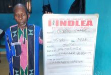 Older man in a colorful striped shirt standing next to a large NDLEA detainee board with handwritten details about a cannabis case.
