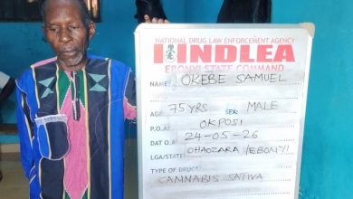 Older man in a colorful striped shirt standing next to a large NDLEA detainee board with handwritten details about a cannabis case.
