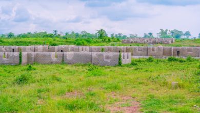 Abia renewed hope housing estate - The Times of Abuja Wide view of unfinished concrete-block buildings in a green field under a cloudy sky, a rural construction site scene.