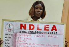 Woman standing with a frame that reads 'NDLEA' and 'MMIA Strategic Command', holding a board with handwritten profile information in red ink (name, age, sex, POA).