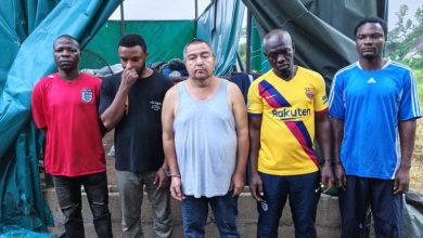 Suspects arrested by NDLEA in Oyo forest - The Times of Abuja Five men stand in front of a teal tent outdoors, wearing casual shirts; a rural hillside is in the background.
