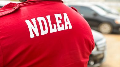 Person wearing a bright red NDLEA jacket seen from behind, with parked cars in the background.