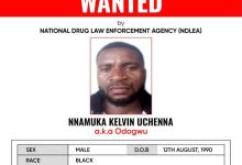 Wanted poster from the NDLEA for Nnamuka Kelvin Uchenna, aka Odogwu; shows his photo and identifying details (Male, Nigerian, Black, DOB 12 August 1990).