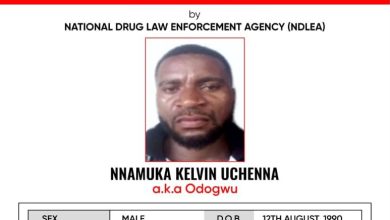 Wanted poster from the NDLEA for Nnamuka Kelvin Uchenna, aka Odogwu; shows his photo and identifying details (Male, Nigerian, Black, DOB 12 August 1990).
