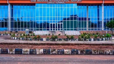 Front view of Sam Mbakwe International Airport Cargo Terminal with glass facade and a circular landscaped curb in the foreground, under a blue sky.