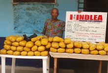 Older man stands behind two tables piled with yellow bags, holding a white sign with red text.