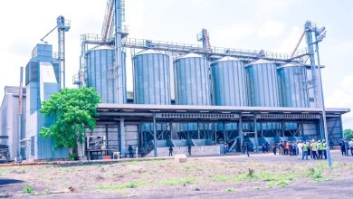 Industrial facility with tall metal silos and a two-story structure; workers in high-visibility vests stand outside on a sunny day