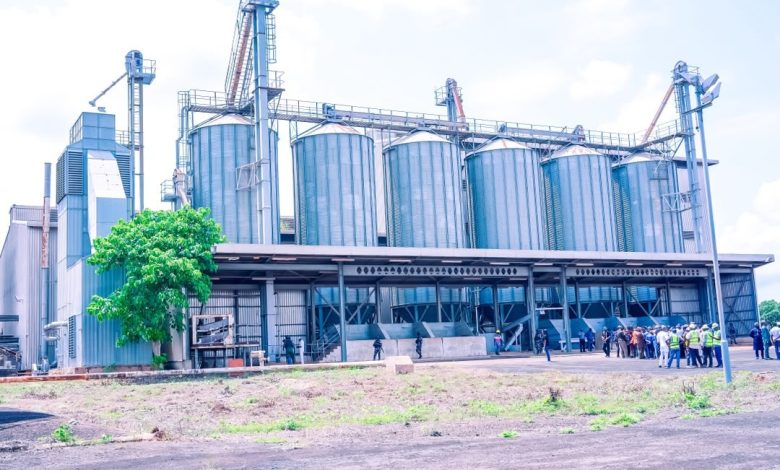 Taraku Mills 2 - The Times of Abuja Industrial facility with tall metal silos and a two-story structure; workers in high-visibility vests stand outside on a sunny day